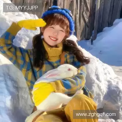 万桢翼